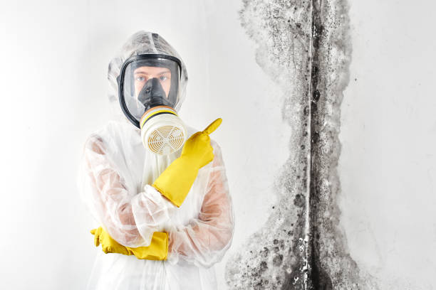 Forensic Mold Investigation in Pine Crest, TN