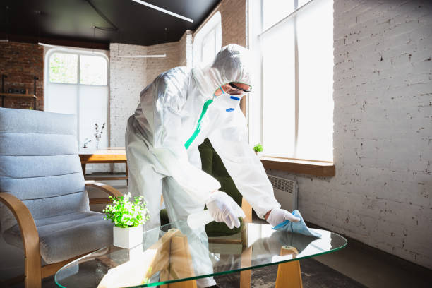 Why You Should Choose Our Mold Remediation Services in Pine Crest, TN